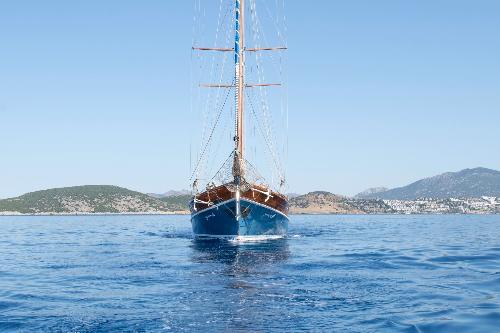 Award-Winning Performance